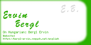 ervin bergl business card